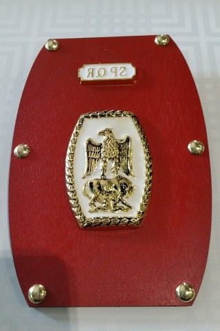 ROMAN MINI SHIELD